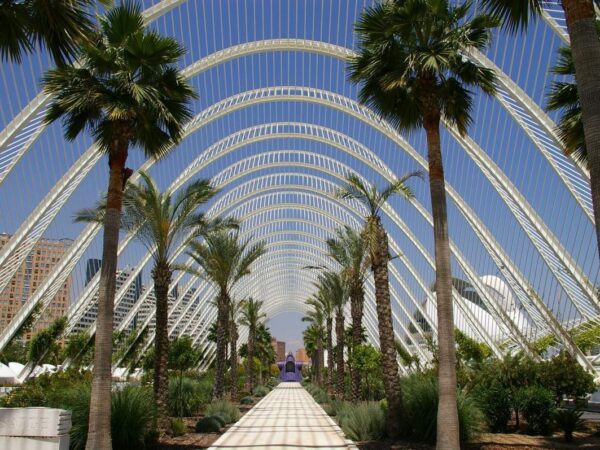 Valencia en 7 Días: La Guía Definitiva para una Experiencia Completa e Inolvidable