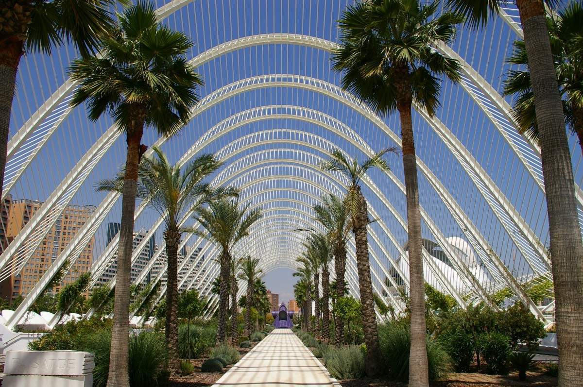 Valencia en 7 Días: La Guía Definitiva para una Experiencia Completa e Inolvidable