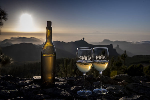 Requena y Utiel: La Ruta del Vino de Valencia a tu Alcance
